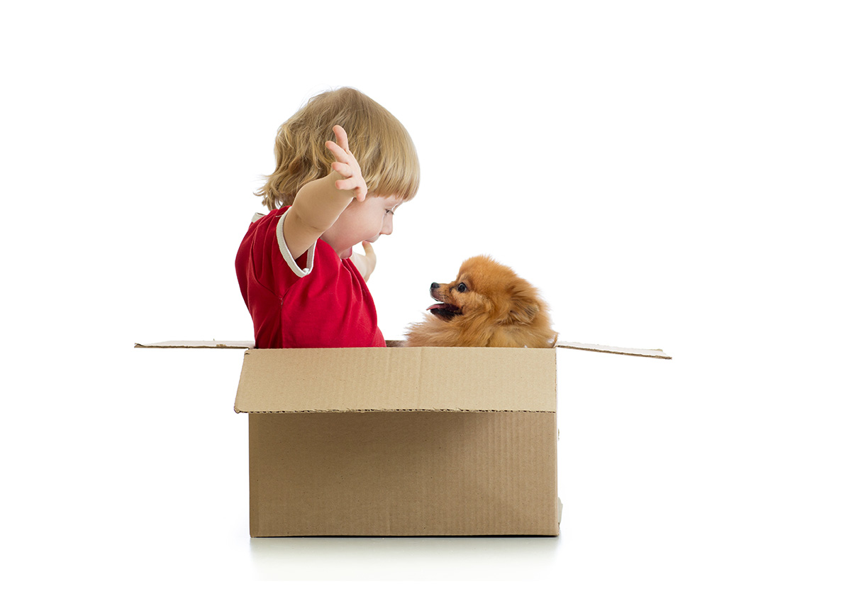 trasloco animali domestici