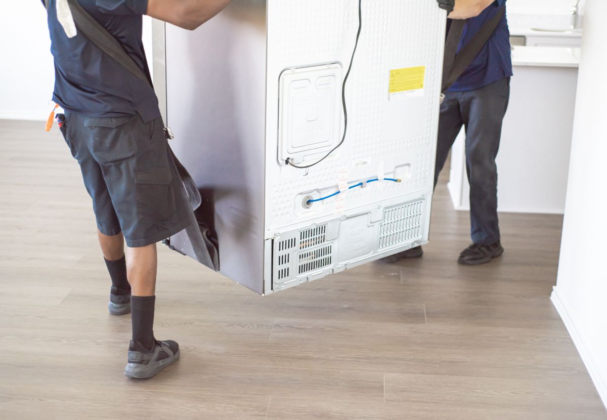 img news trasloco frigorifero