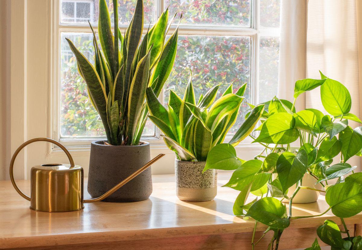 img trasloco sostenibile